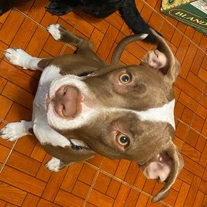 Meet your Posher, Sabrina